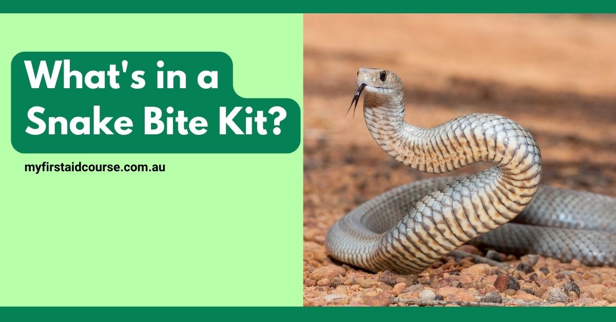 What’s in a Snake Bite Kit?