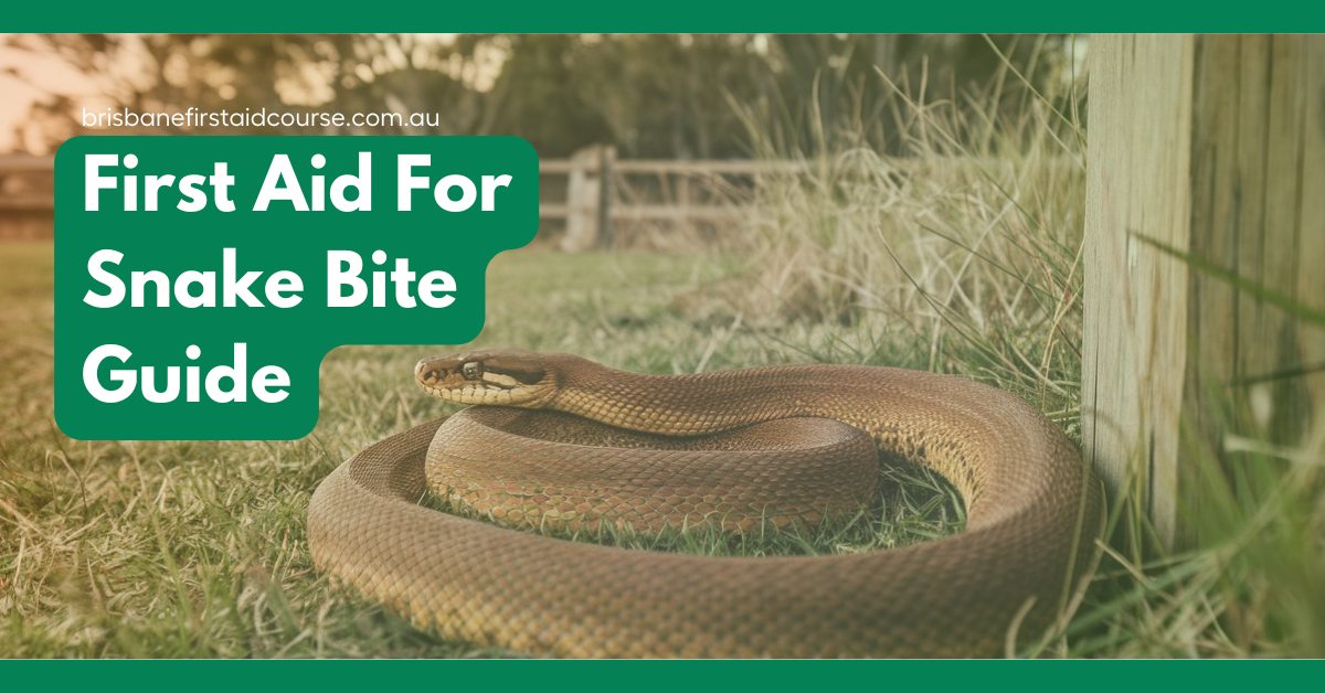 First Aid for Snake Bite Guide